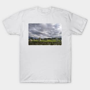 East Aquhorthies Stone Circle T-Shirt